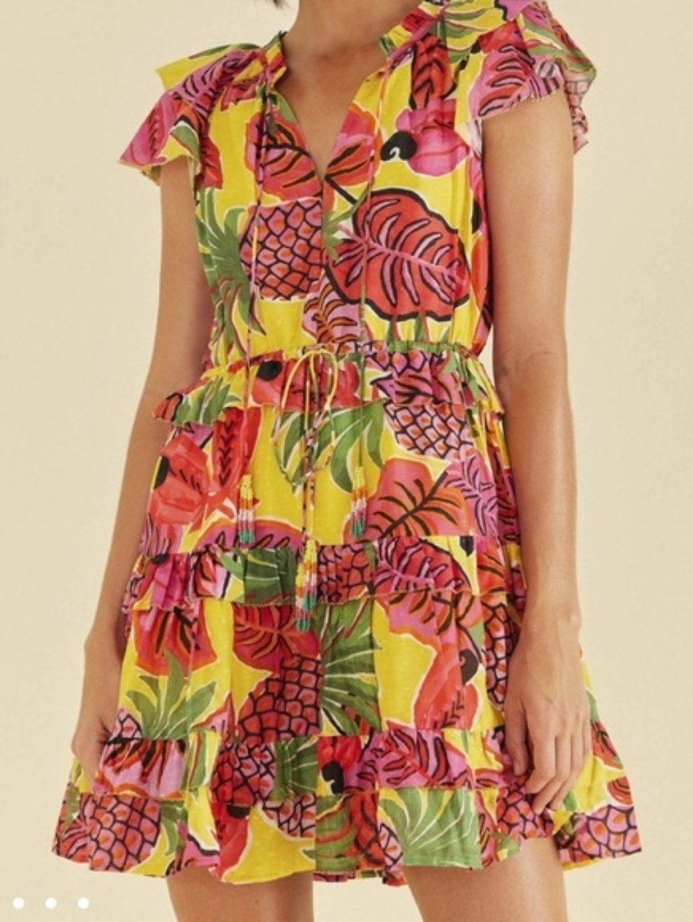 Farm Rio Fruit Dreams Ruffle Mini Dress Size XL